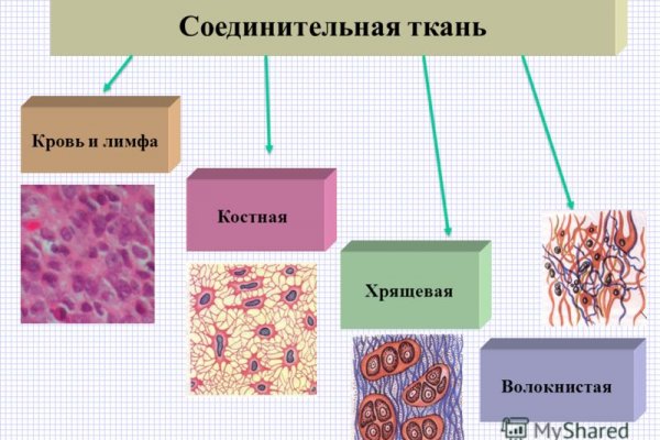 Зайти на кракен