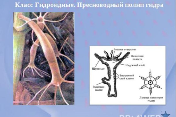 Как попасть на кракен