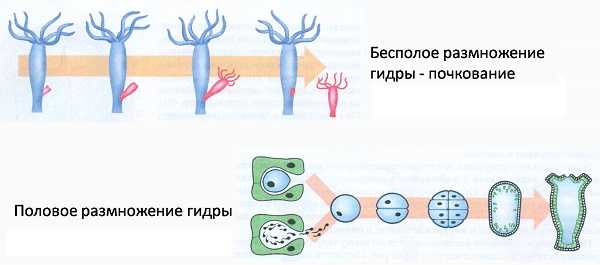 Кракен наркомаркет